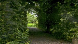 A gravel path surrounded by dense foliage, leading to a distant green area. - Logis De Chezelles (Sidiailles)