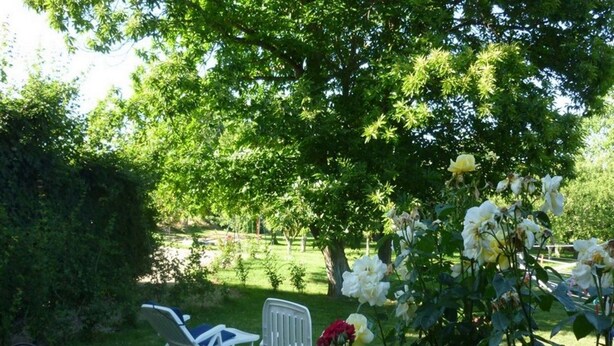 A garden with two white lawn chairs and a table, surrounded by lush greenery and flowering plants. - Logis De Chezelles (Sidiailles)