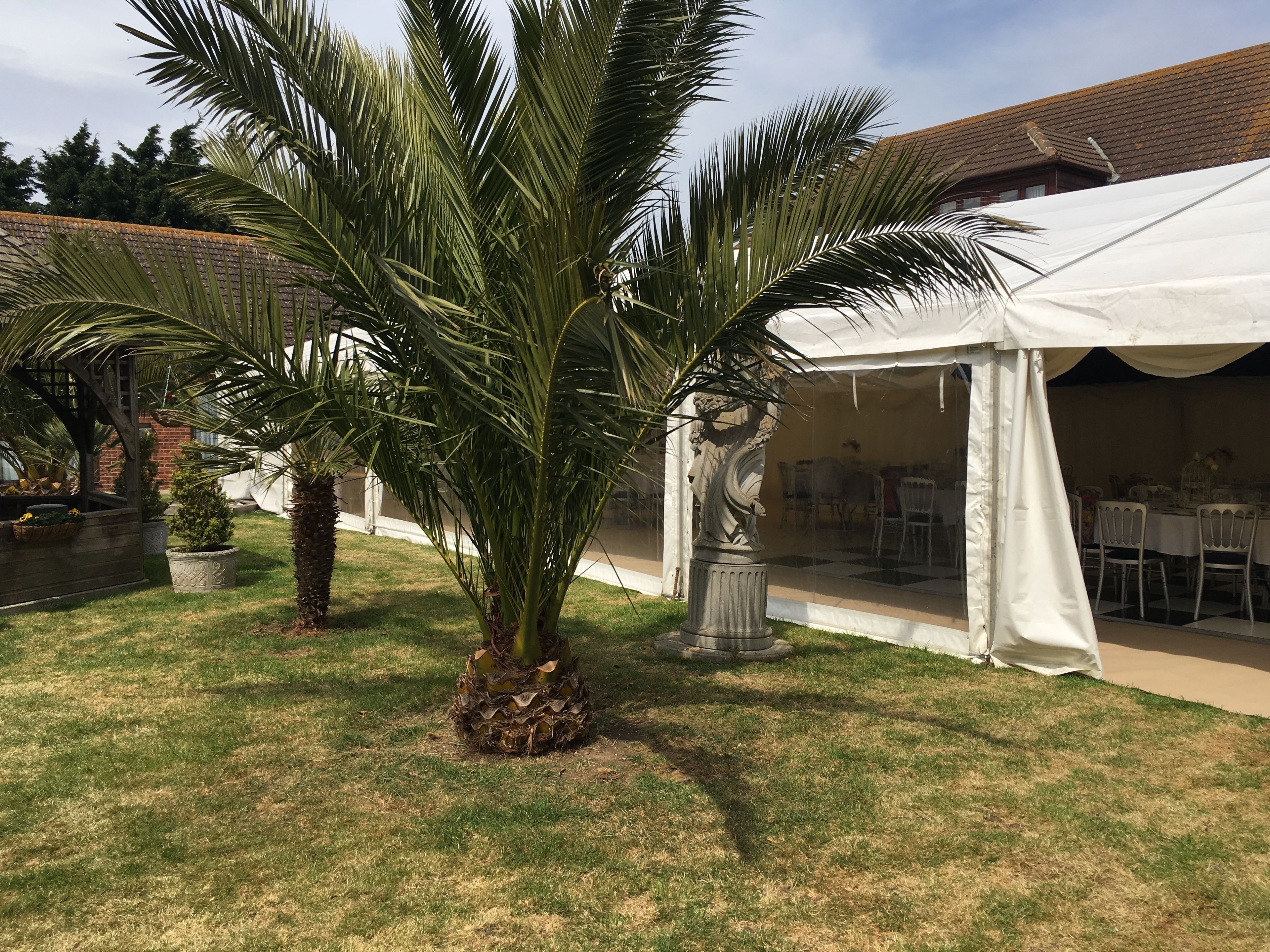 outdoor wedding area