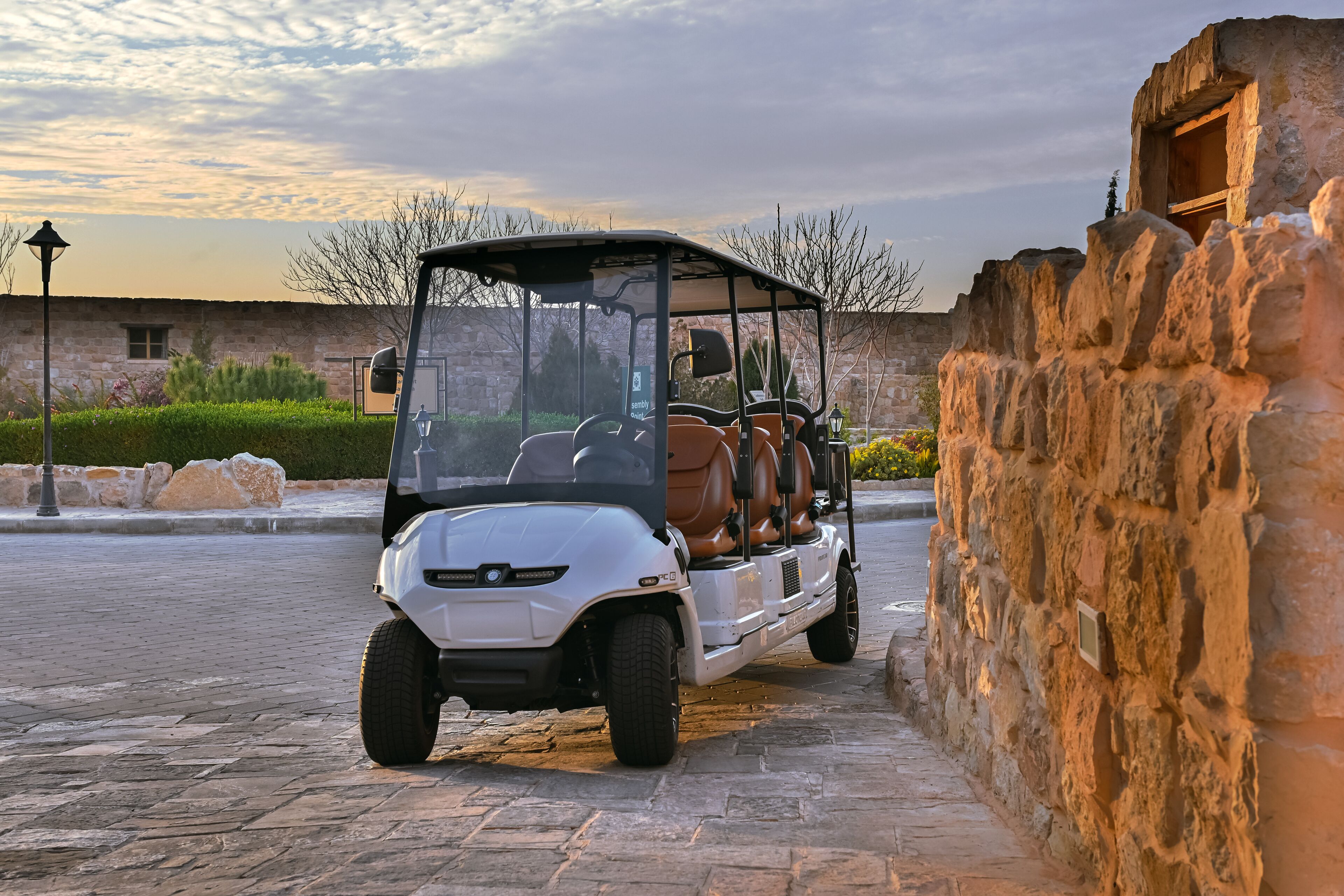 Voiturette de golf