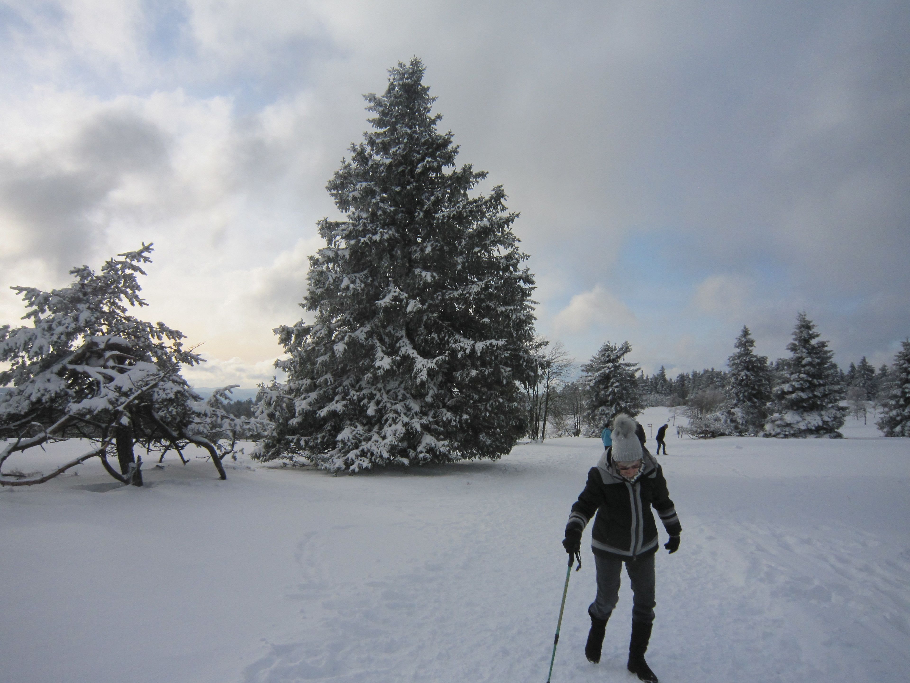 Foto - Landgasthof Gilsbach