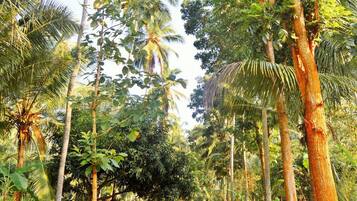 Àrea exterior de l'allotjament