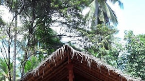A simple, open-sided structure with a thatched roof, surrounded by dense greenery and trees.