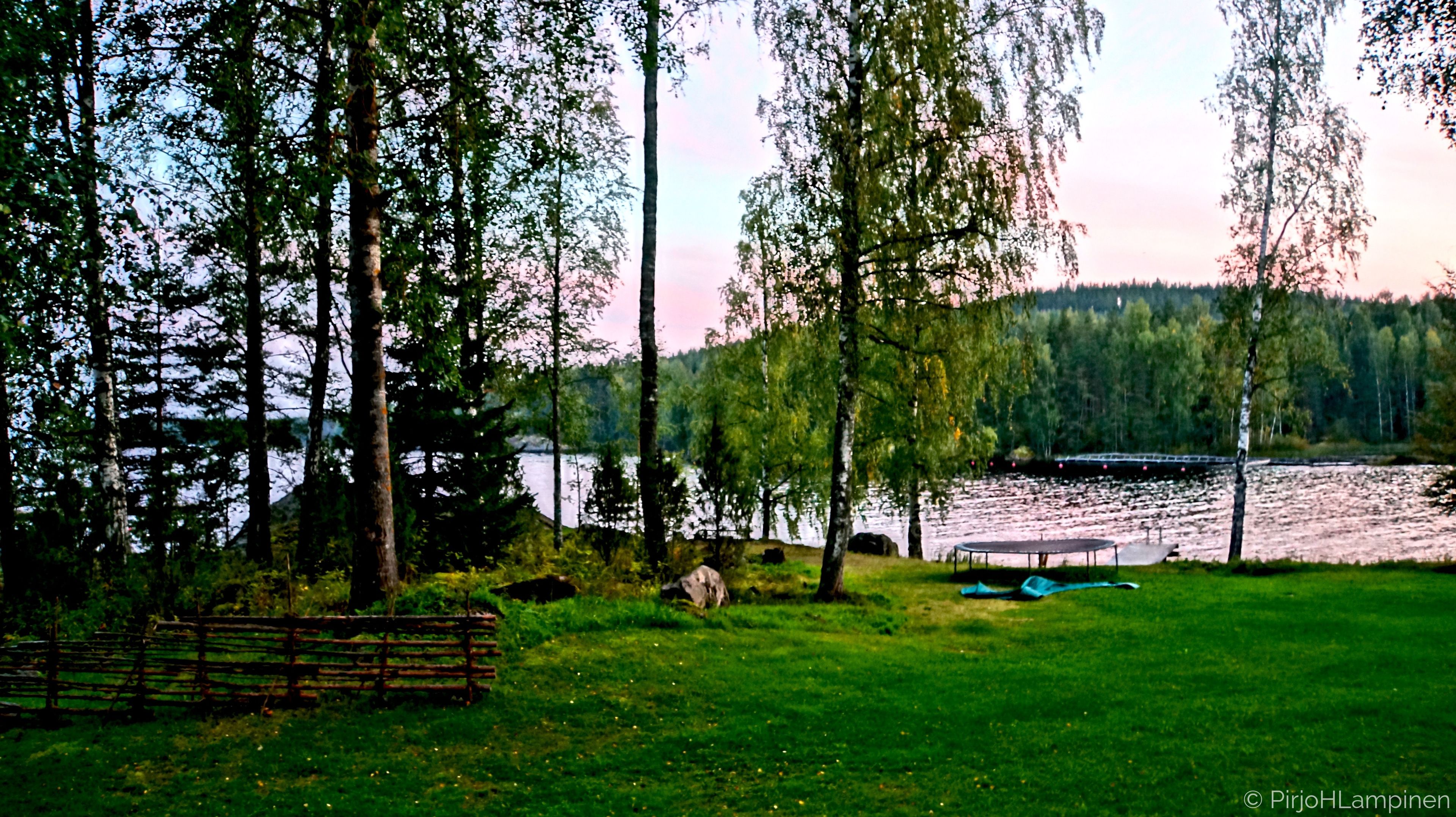 A lakeside view with a wooden bench, a trampoline, and a forested area.