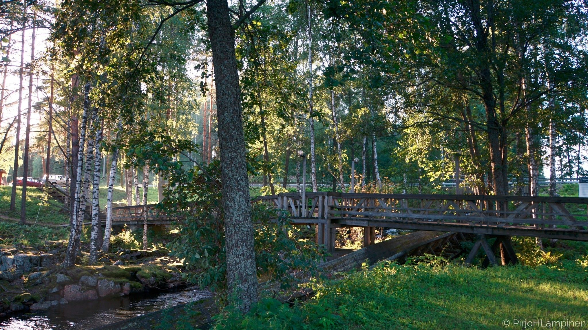 A wooden bridge over a stream in a forested area with trees and greenery.