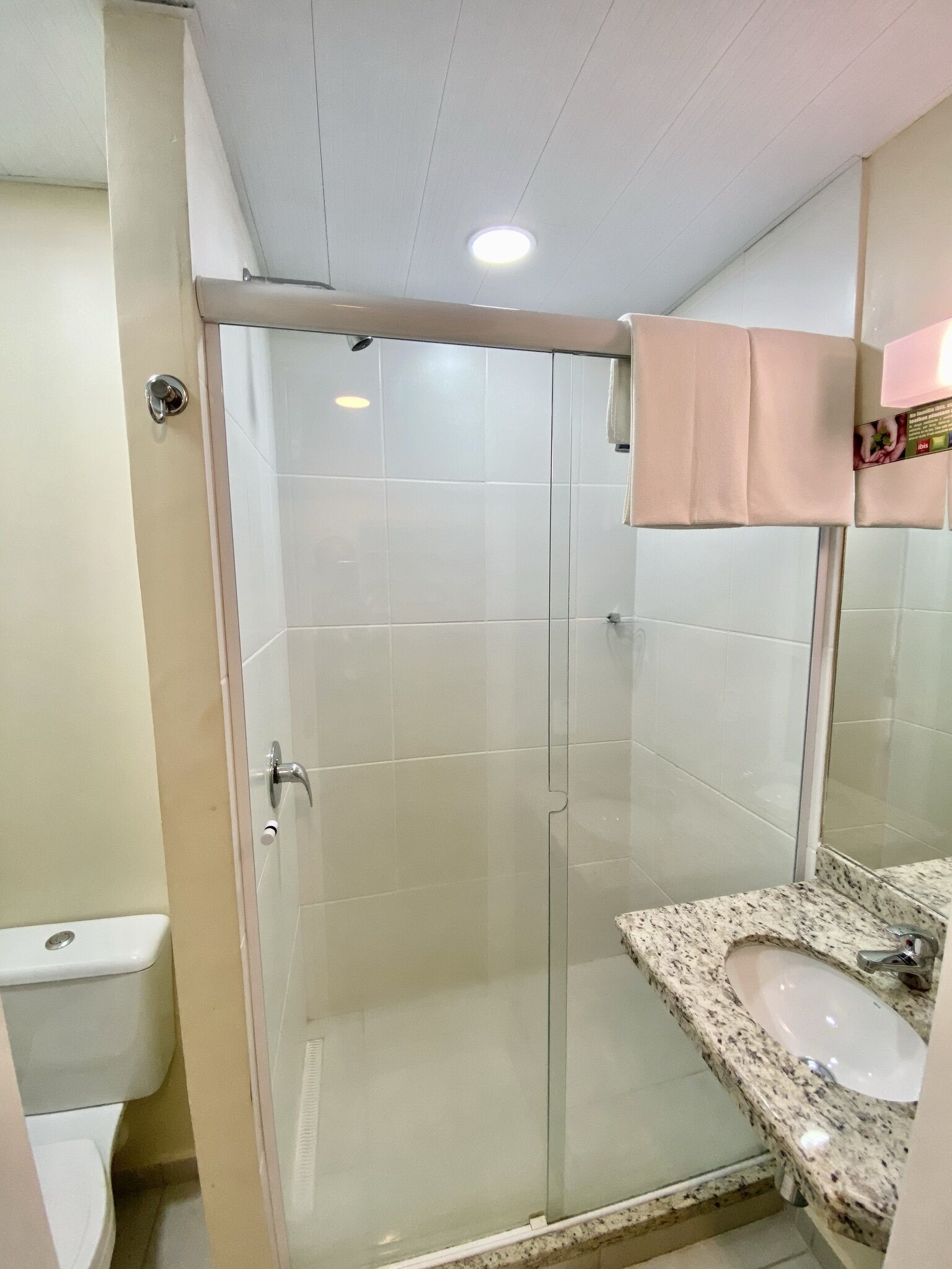 A bathroom with a glass shower enclosure, a sink with a granite countertop, and a toilet.