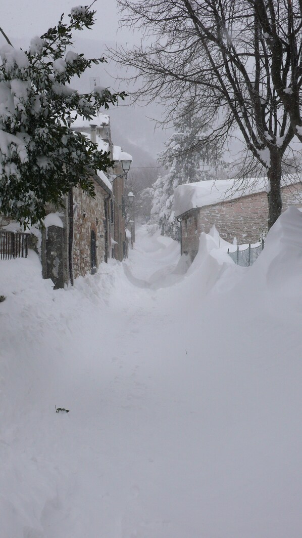 Snow and ski sports - Romantico B&B (Serra Sant'Abbondio)