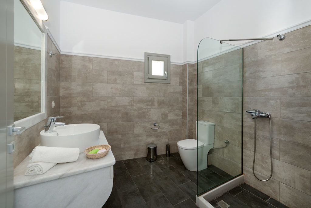 shower, designer toiletries, hair dryer, towels