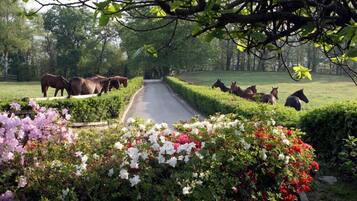 A pathway lined with horses and flowering bushes.