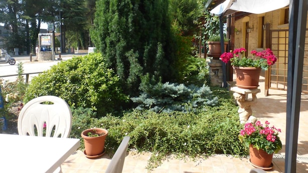 An outdoor seating area with a table and chairs, surrounded by potted plants and a tall tree. - Al Casolare (Corinaldo)