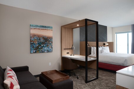 SpringHill Suites by Marriott Orlando Theme Parks Lake Buena Vista - Image 25
