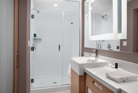 SpringHill Suites by Marriott Orlando Theme Parks Lake Buena Vista - Image 16