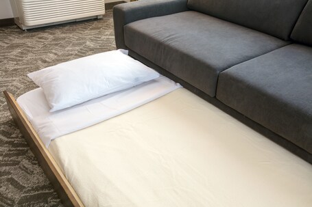 SpringHill Suites by Marriott Orlando Theme Parks Lake Buena Vista - Image 48