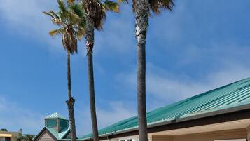 Servicio de la propiedad