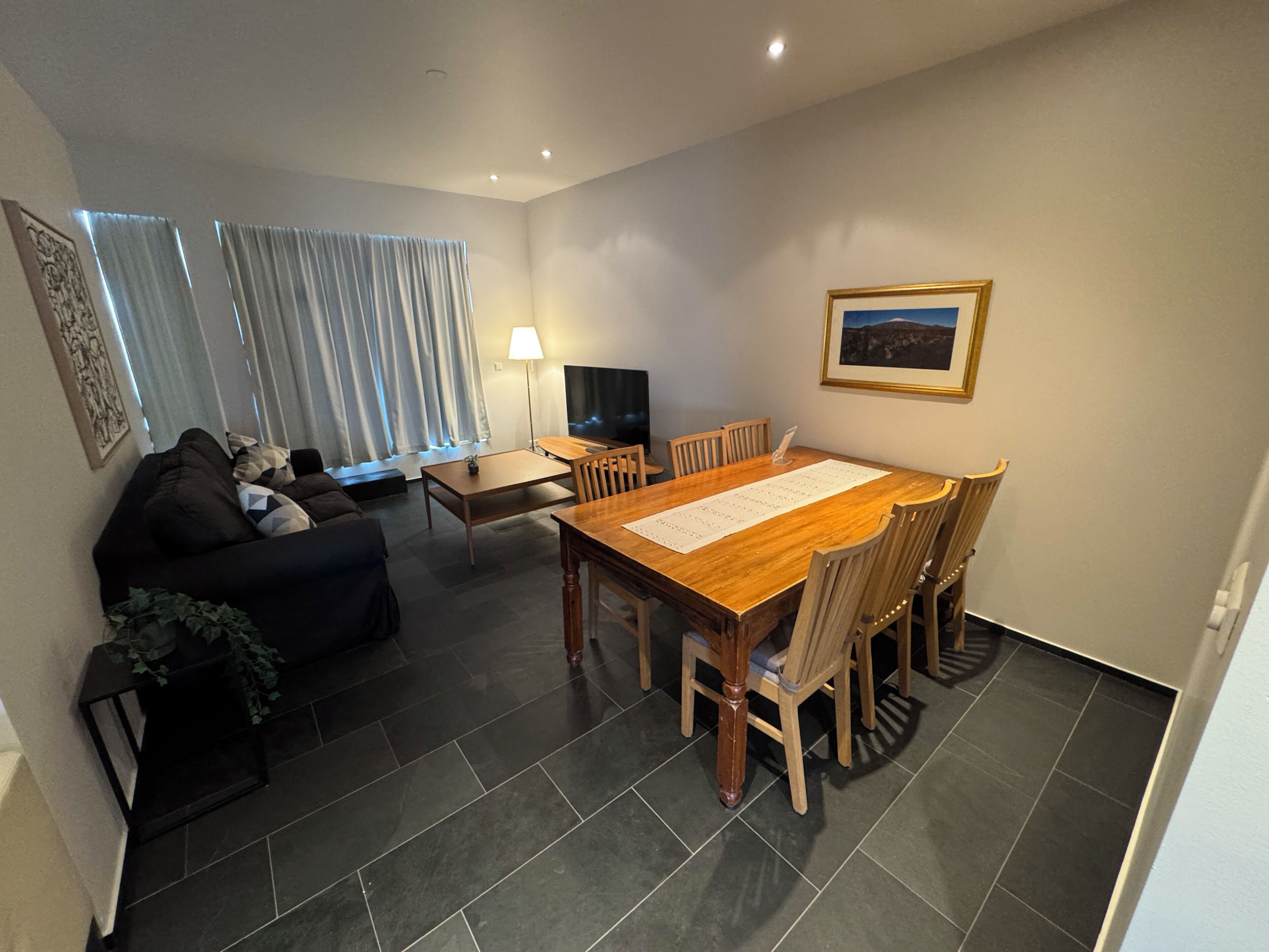 A modern living room with a dark-colored sofa, a wooden dining table with chairs, a flat-screen TV, and a framed picture on the wall.