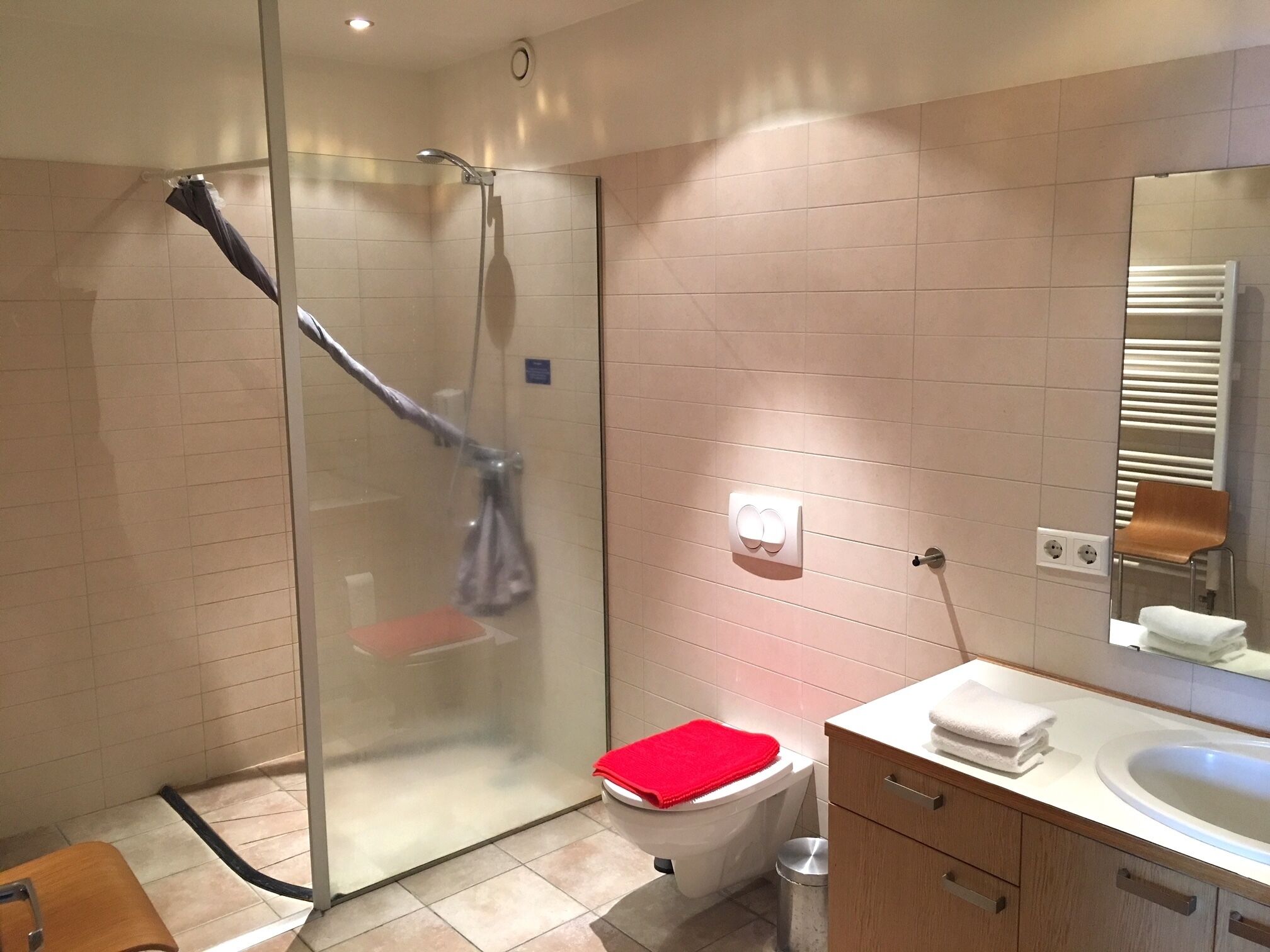 A modern bathroom with a glass-enclosed shower, a toilet, and a sink with a mirror.