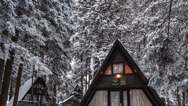 Un chalet doté d’un escalier en bois menant à l’entrée, entouré d’arbres couverts de neige.