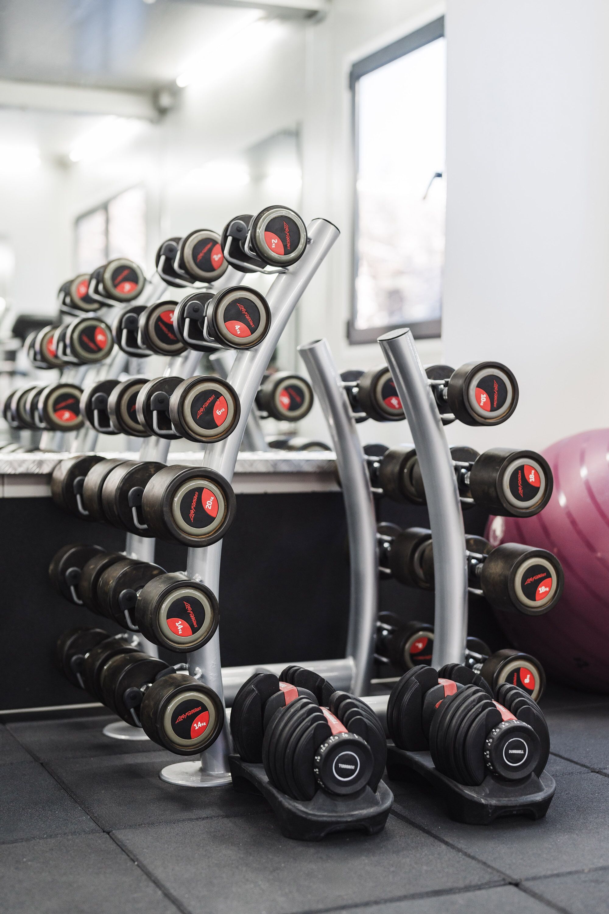 Un gimnasio con varias filas de mancuernas sobre soportes y una pelota de ejercicio rosa al fondo.