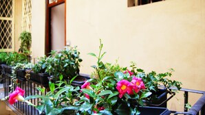 A row of potted plants with pink flowers and green foliage against a building with barred windows and a beige wall. - Banco19B&B (Rome)