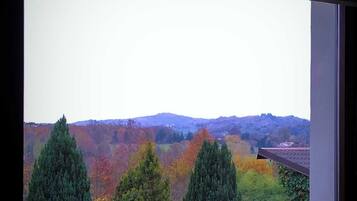 Blick aus dem Fenster auf eine Landschaft mit Bäumen und Hügeln.