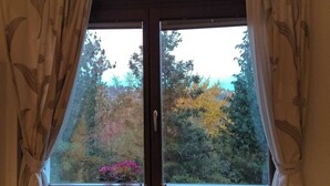 Una habitación con un amplio ventanal que ofrece vistas a árboles y una flor rosada.