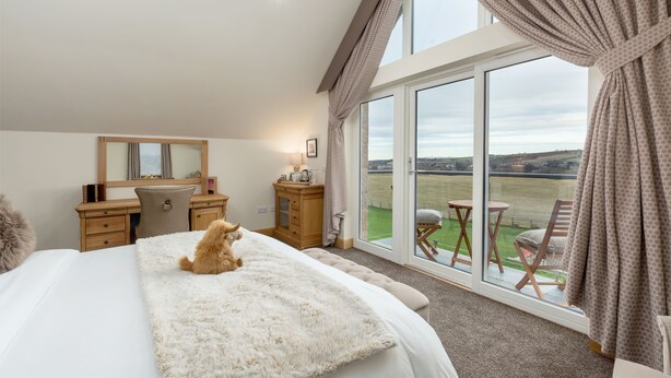A bedroom with a large bed, a desk, a chair, and a view of a grassy field through large windows. - The Queens View Luxury B&B (Linlithgow)