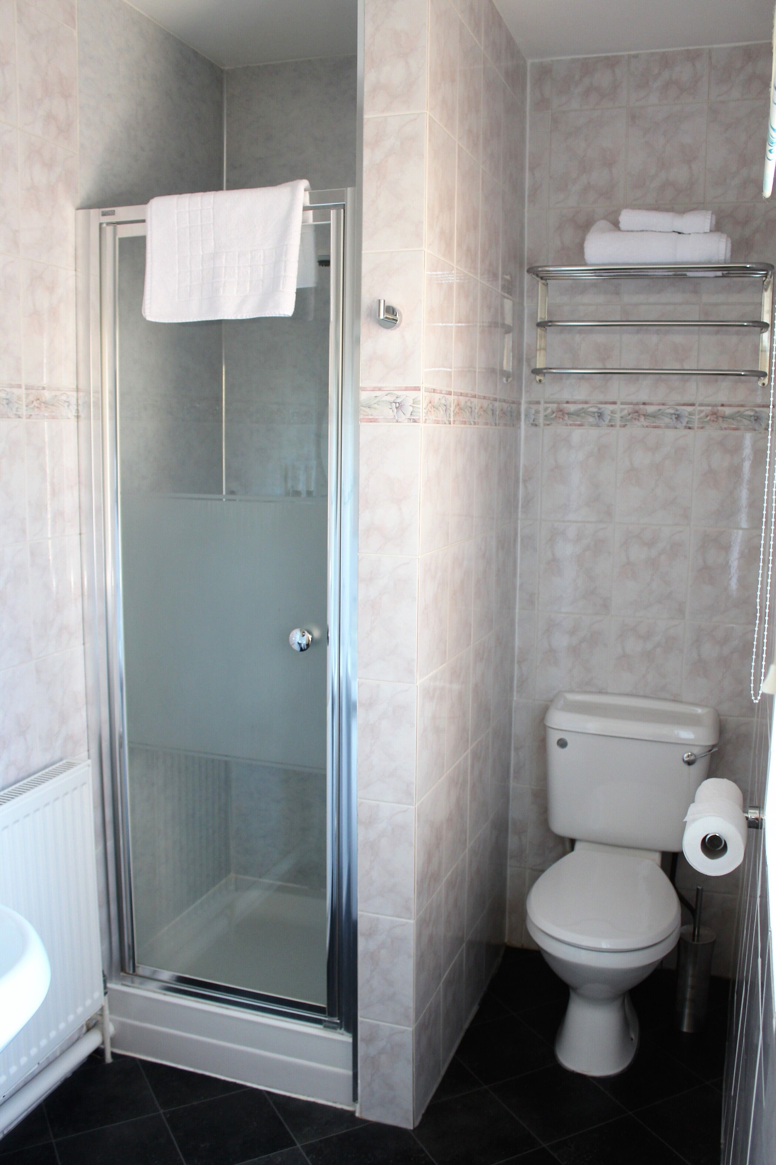 Une salle de bain avec une douche à parois de verre, des toilettes et une étagère avec des serviettes.