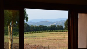 Vista por una ventana de un paisaje rural con árboles, un campo y colinas al fondo.