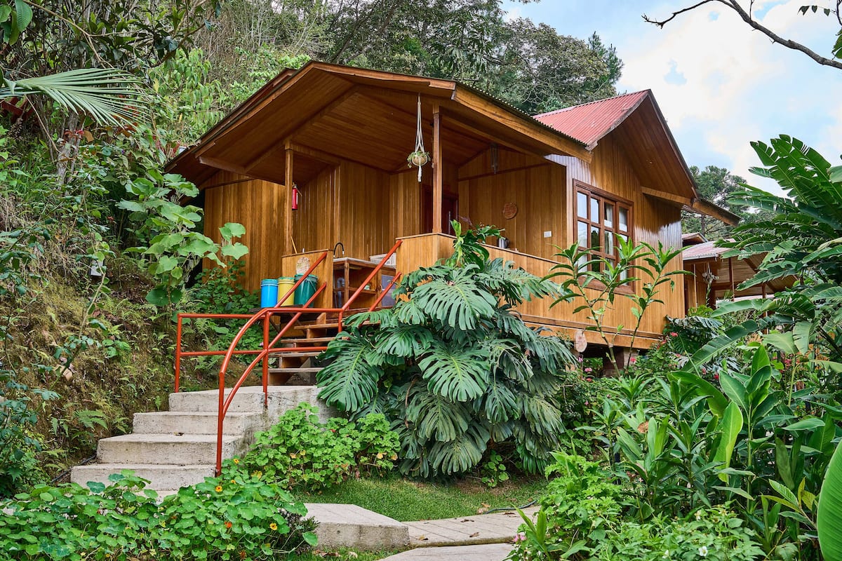 Een houten chalet met een veranda en een trap erheen, omgeven door weelderige begroeiing.