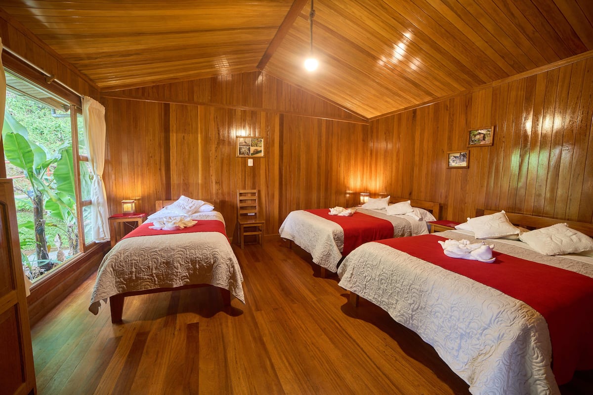Een kamer met houten wanden en vloeren, twee bedden met rode en witte beddengoed, een kleine houten ladder en een raam met uitzicht op groen.