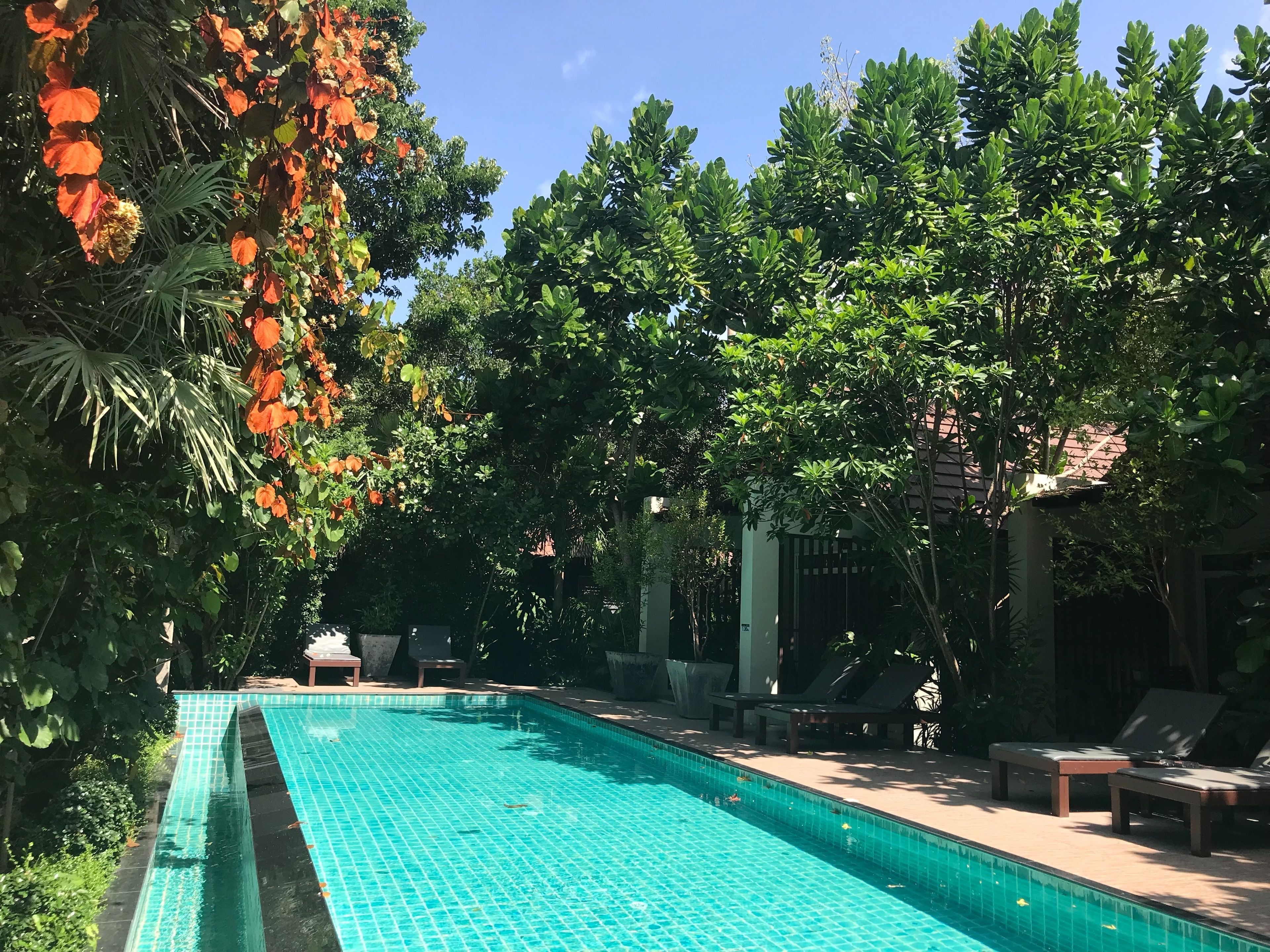Piscine extérieure, chaises longues