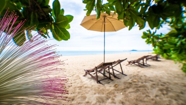 Una playa con sillas de descanso y una sombrilla.