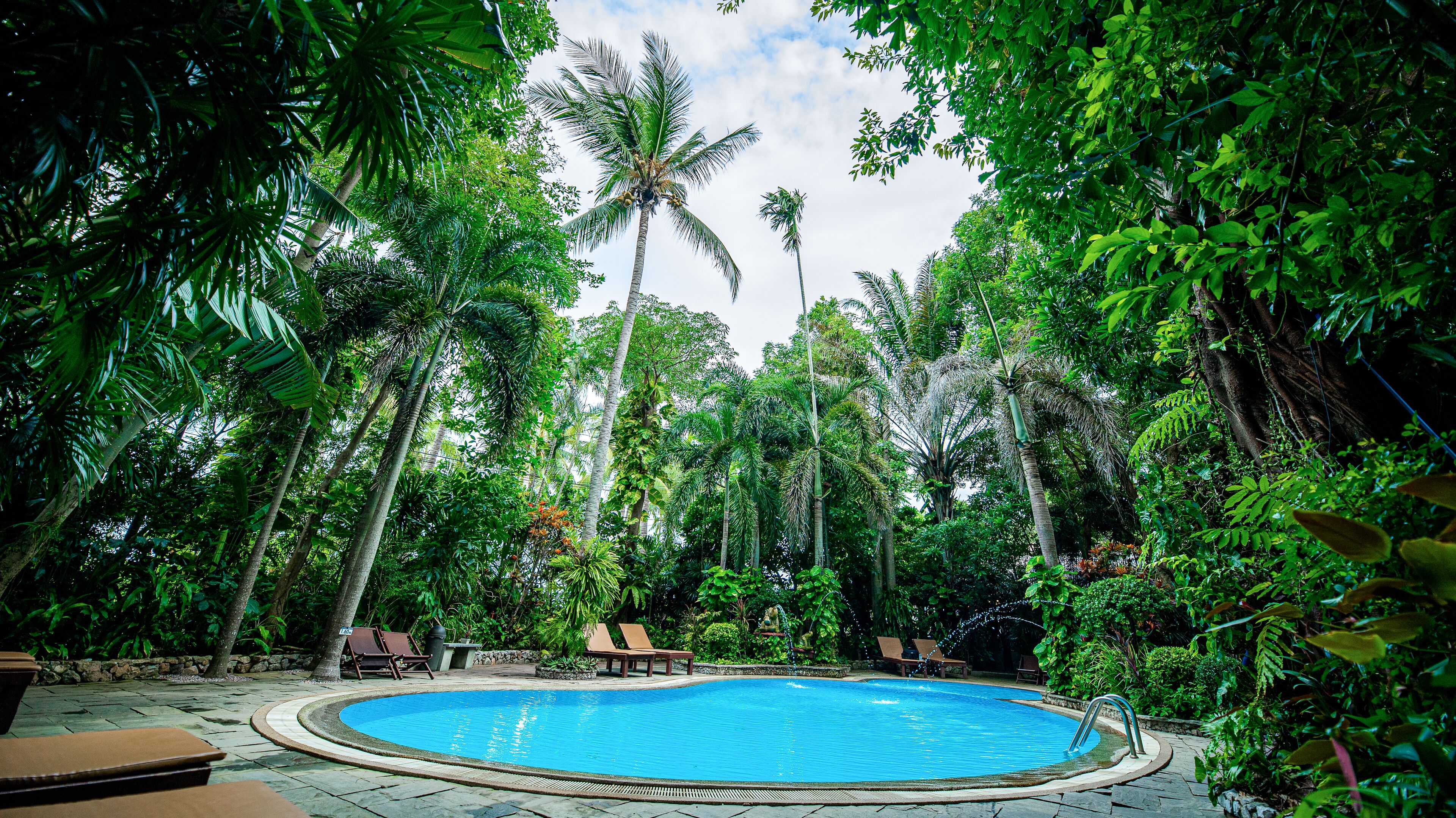 Outdoor pool, sun loungers