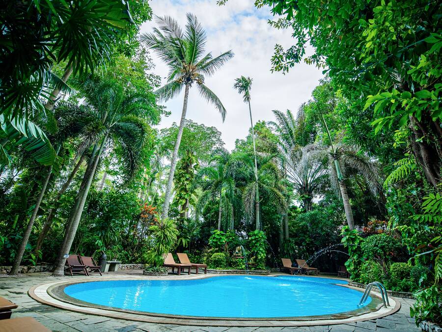 Una piscina rodeada de exuberante vegetación y palmeras, con sillones de descanso y un camino de piedra.