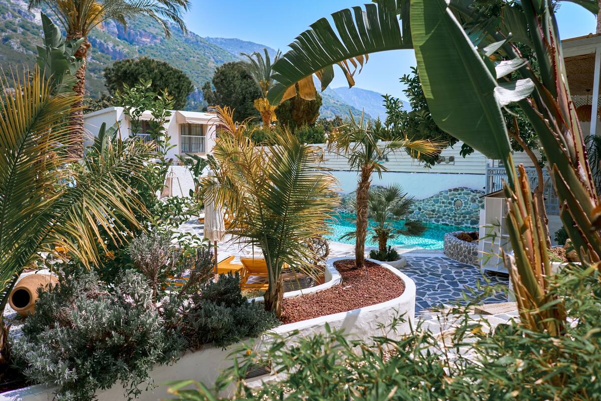 A pool area with palm trees, a stone pathway, and a view of the sea.