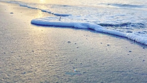 Ein Strand mit Wellen und einem Schiff in der Ferne.