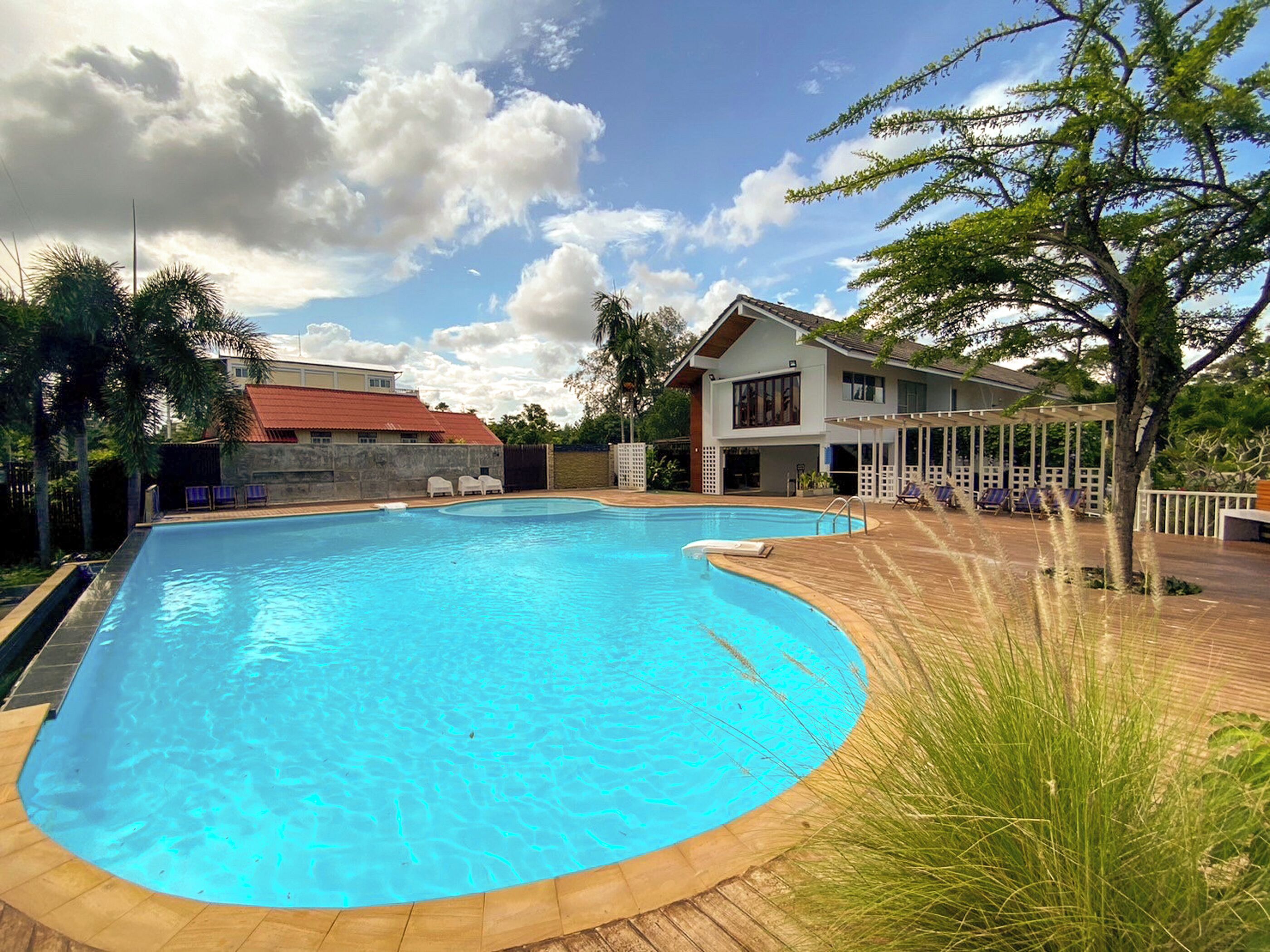 Ein Pool mit Holzterrasse und Liegestühlen, umgeben von einem Haus und Palmen.