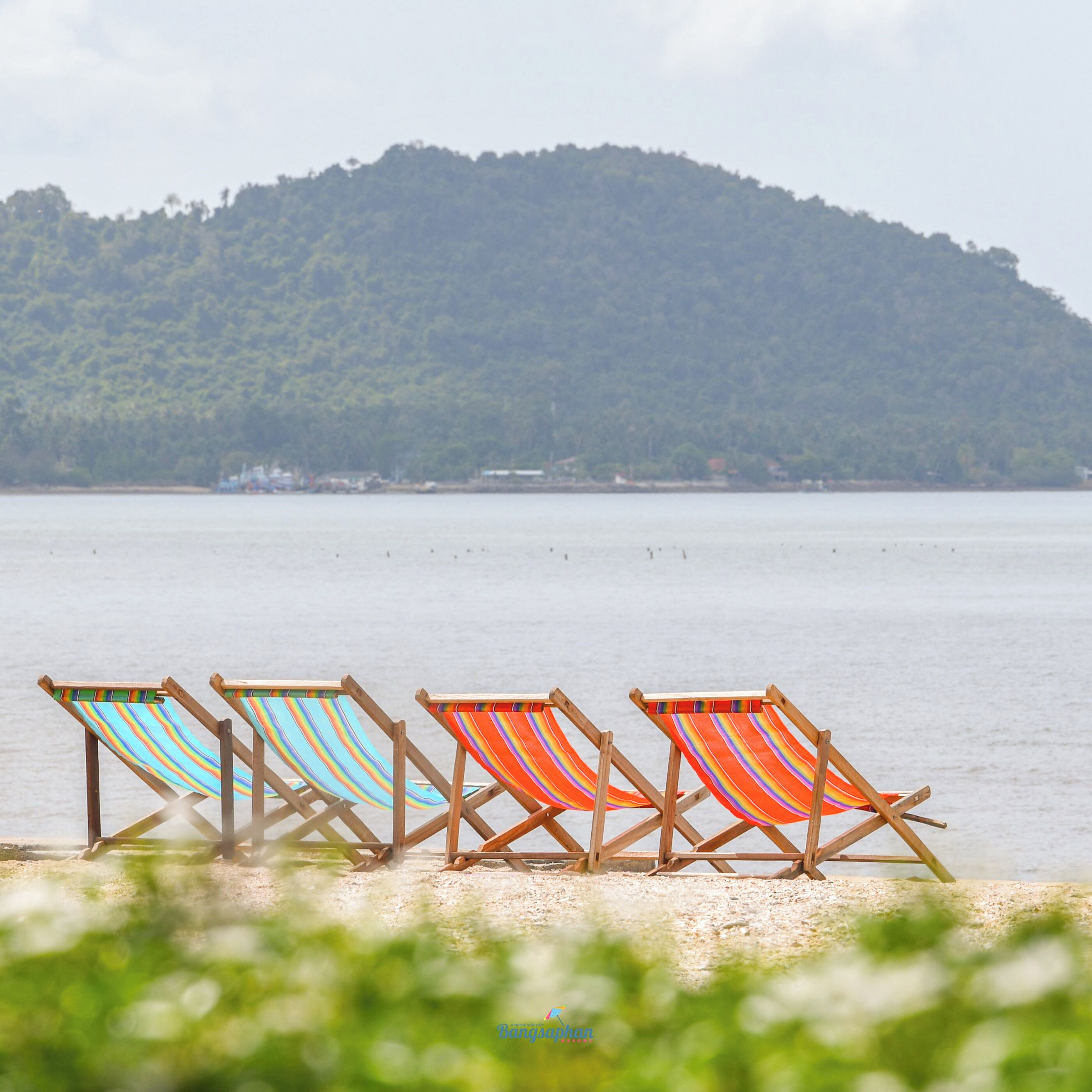 Beach chairs lined up facing a calm sea with a forested hill in the background.