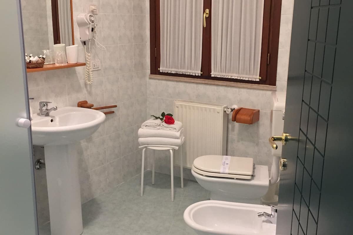 shower, free toiletries, hair dryer, bidet