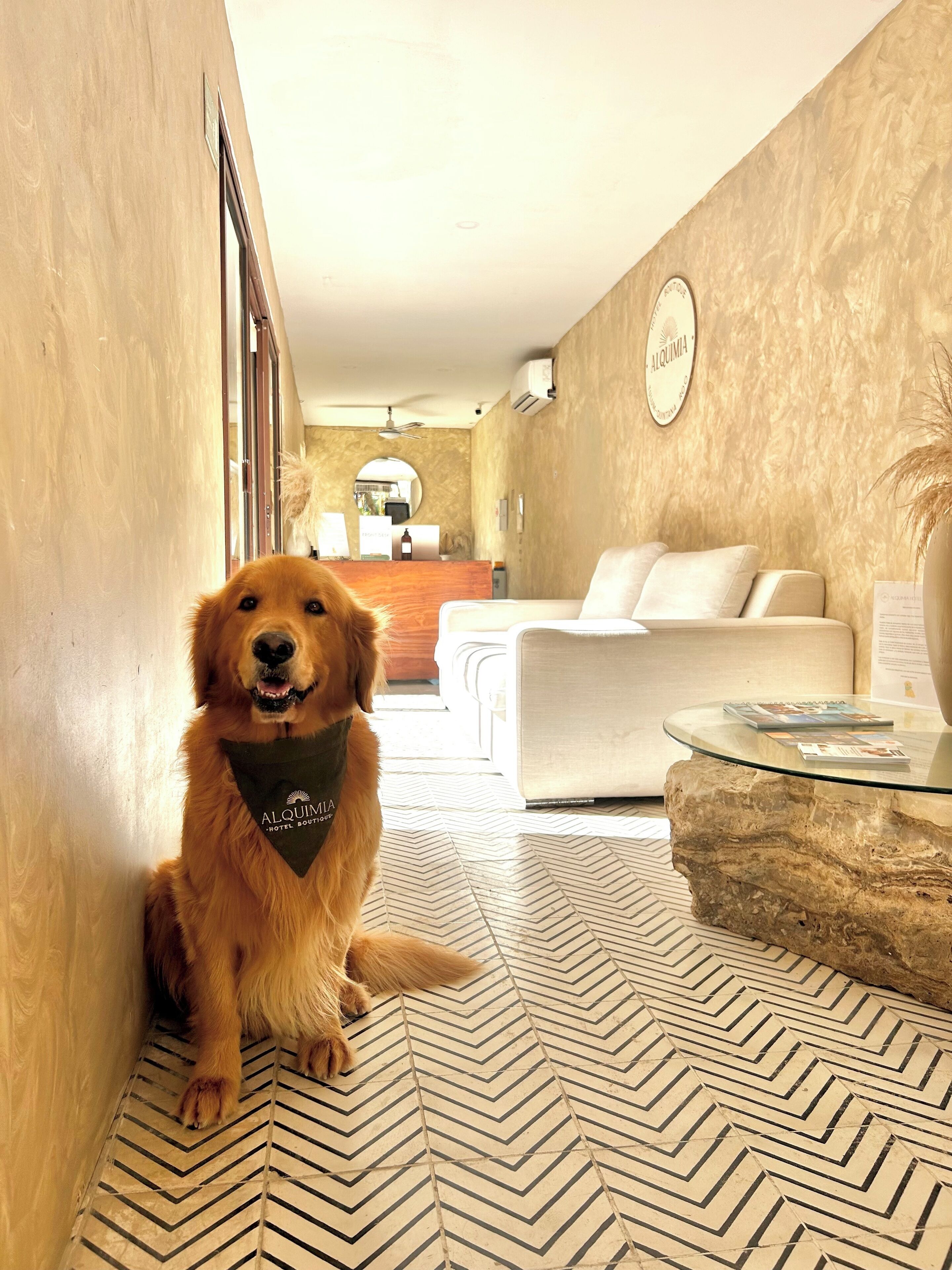 Foto - Alquimia Hotel Boutique