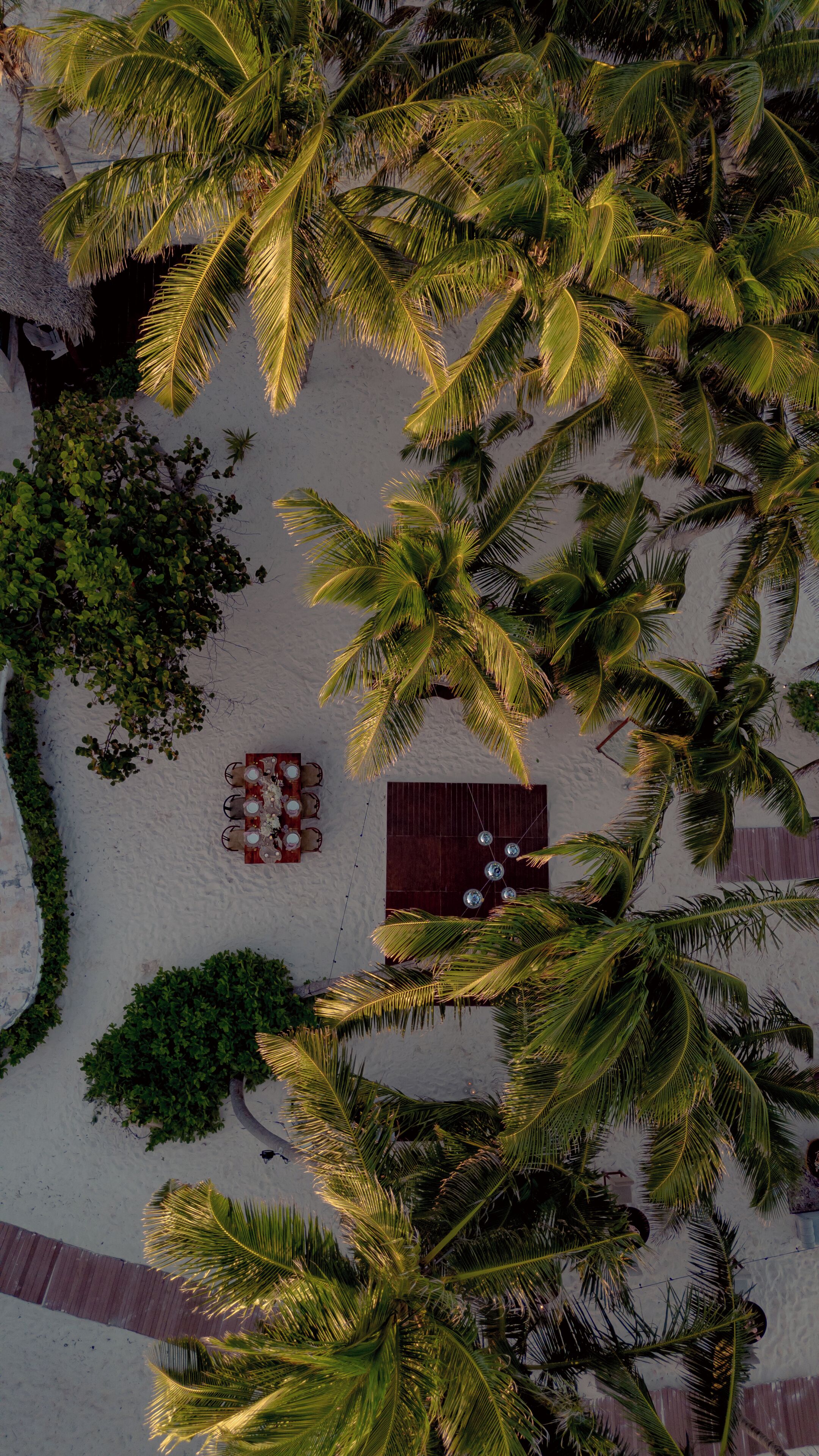 An aerial view of a beach with palm trees, a dining area with tables and chairs, and a thatched-roof structure.