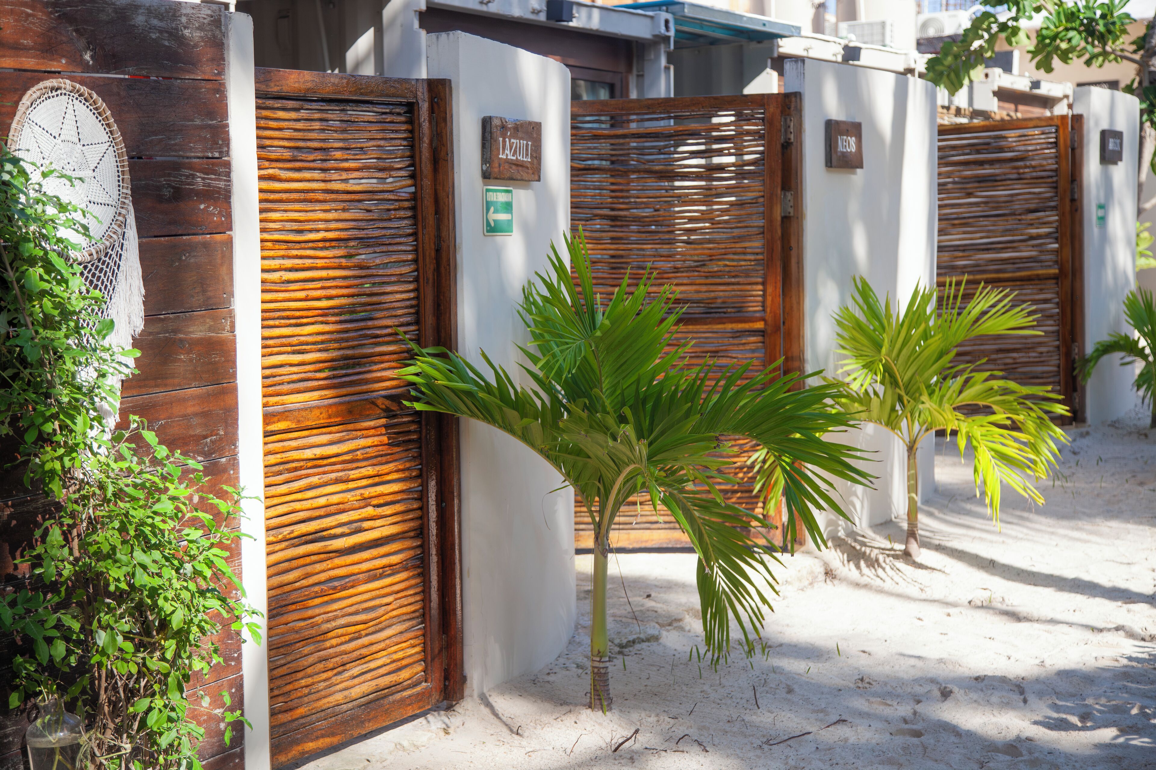 A gated area with palm trees and a wooden fence.