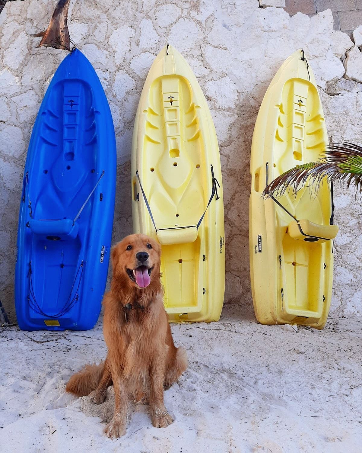 Photo - Alquimia Hotel Boutique