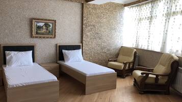 Minibar, escritorio, camas extra y wifi gratis