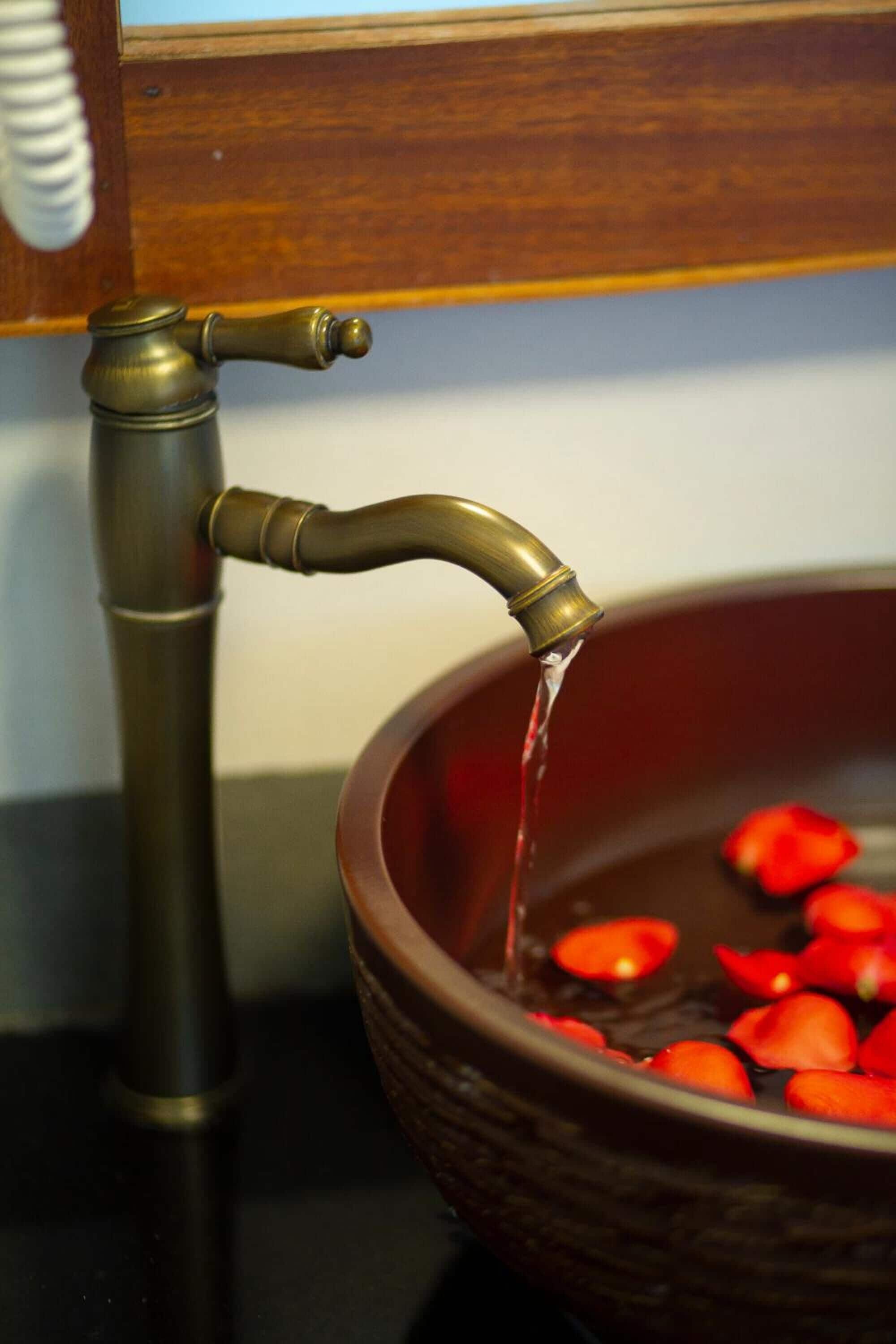 shower, free toiletries, hair dryer, slippers