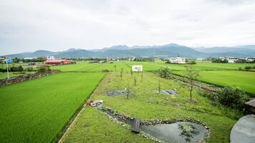 Elite tweepersoonskamer, 2 eenpersoonsbedden | Kameruitzicht