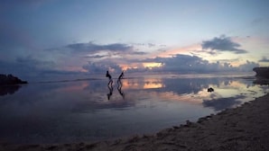 Escena de playa con agua tranquila que refleja el cielo, un horizonte despejado y una costa lejana.
