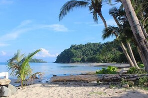 Beach nearby - Carpe Diem Guest House (Ko Chang)