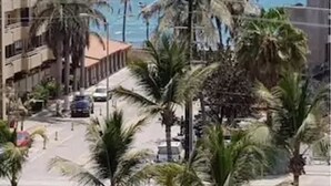 A coastal view with palm trees, a road, and a building with balconies overlooking the sea. - Depa Torre Marina (Mazatlán)