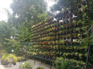 Tuin